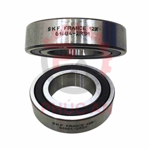 Vong-Bi-61904-2RS1-SKF